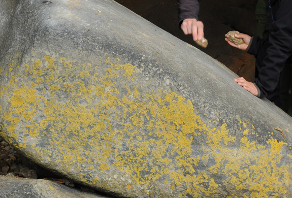 Pierres sonnantes du Guildo, Copyright : Aloé Hok-Schlagenhauf.